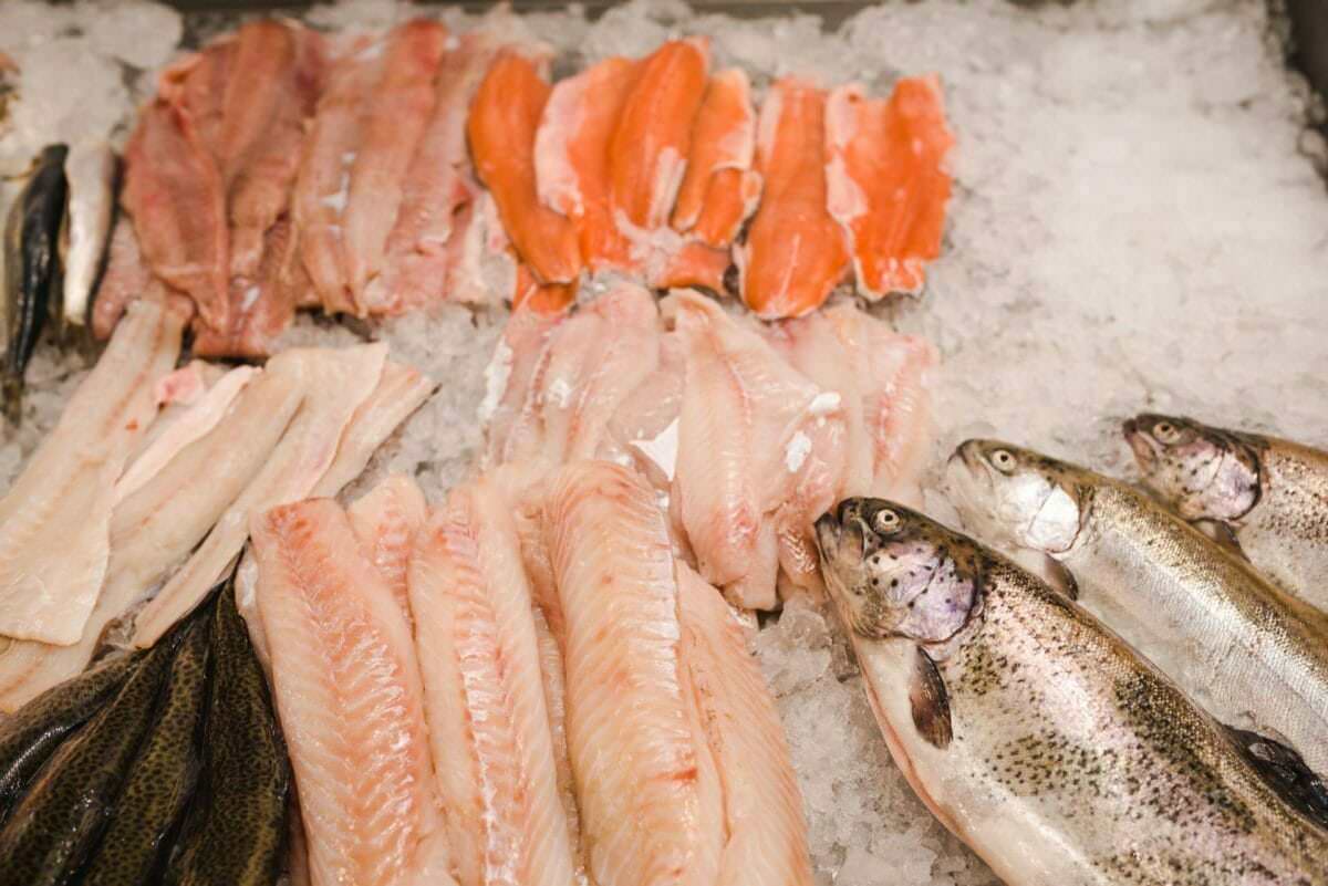 Frischer Fisch im Eis