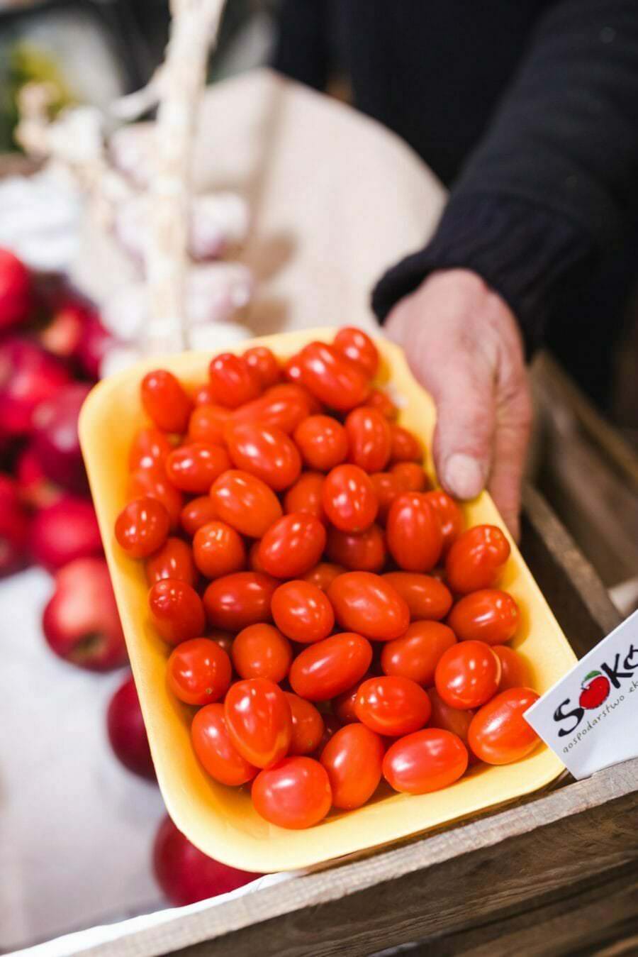 Tablett mit Kirschtomaten