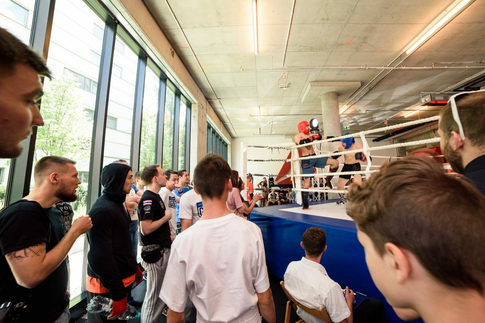 The public watching the fight in the ring