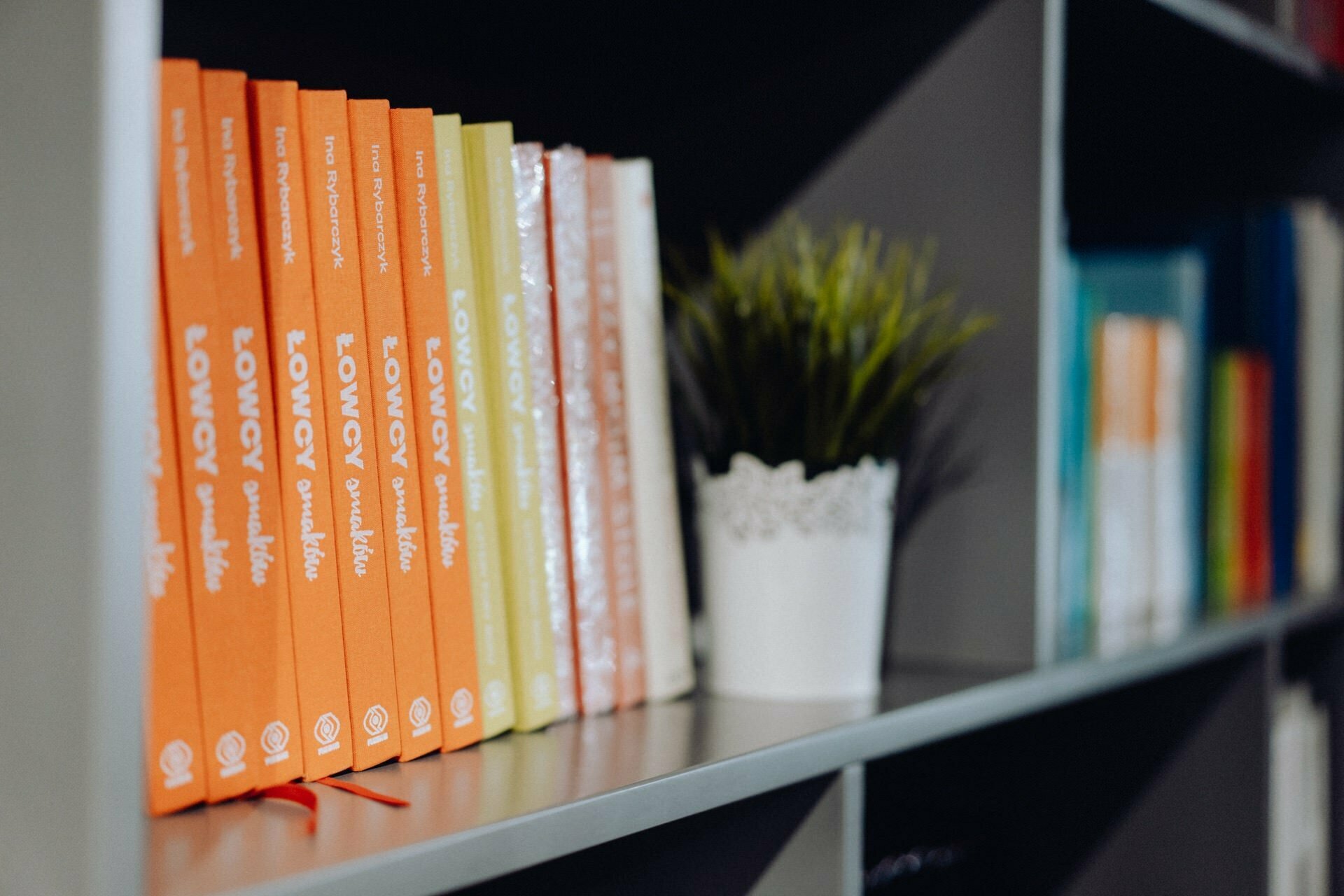 A book shelf with a row of brightly colored books, mostly in orange and white covers, standing upright. To the right of the books is a small potted plant with green leaves, placed on the shelf - the perfect backdrop for any event photography in a cozy reading nook. 