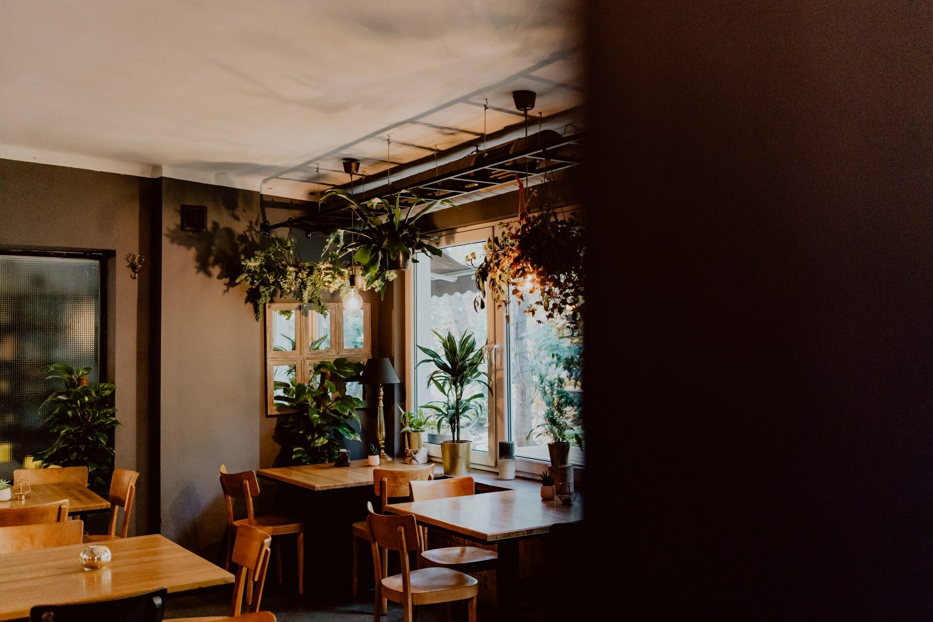 A cozy cafe interior with wooden tables and chairs, perfect for an event photographer Warsaw. Large windows allow natural light to illuminate the space, while green plants and hanging plants create a casual atmosphere. Warm lighting and minimalist decor create an inviting atmosphere, perfect for any event photo shoot.  