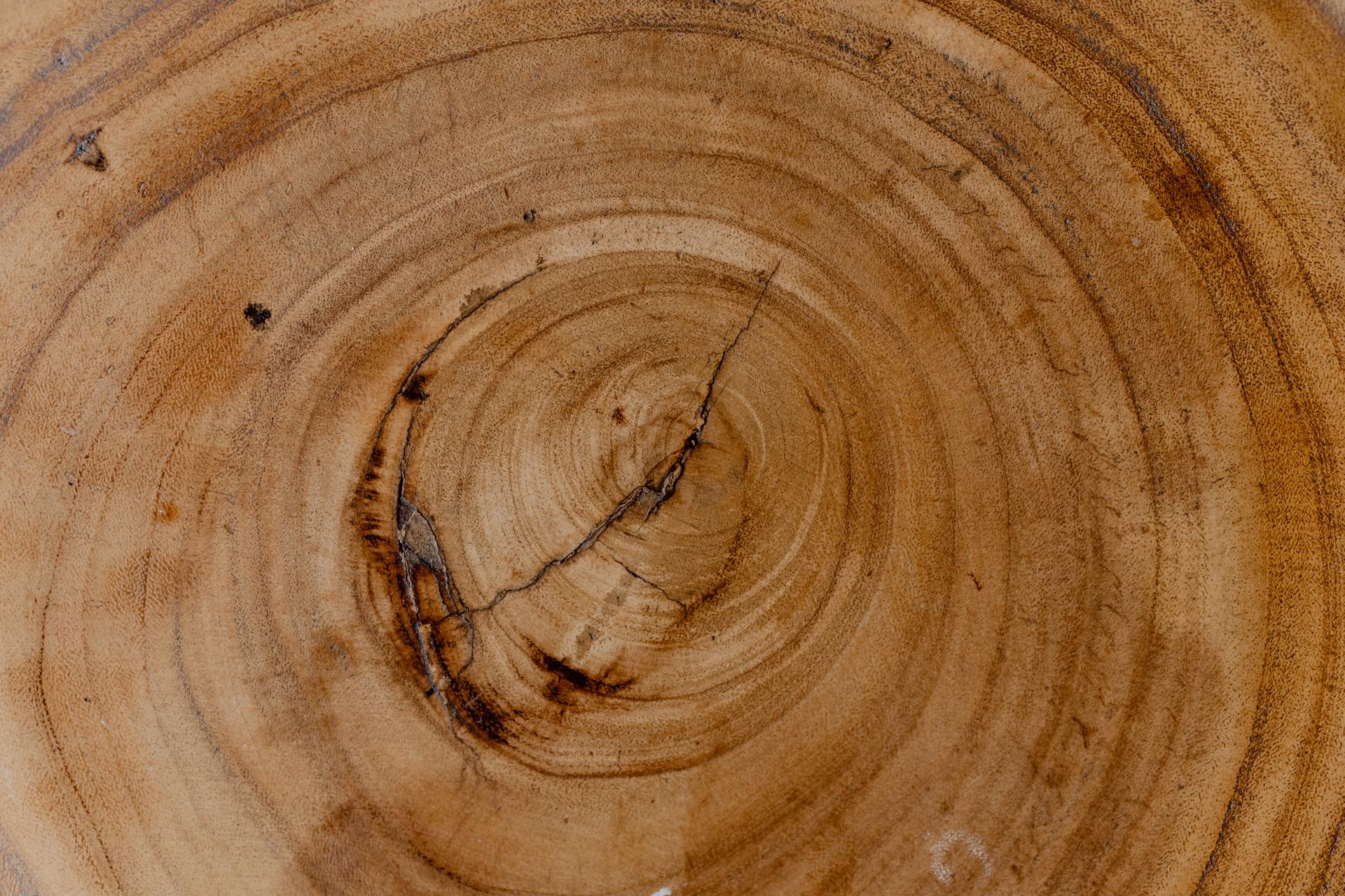 A close-up of a wooden surface showing detailed tree grains and natural wood grain patterns, reminiscent of the rich textures seen at a press meet. A noticeable crack runs through the center, and various shades of brown and beige create an organic, earthy texture. 