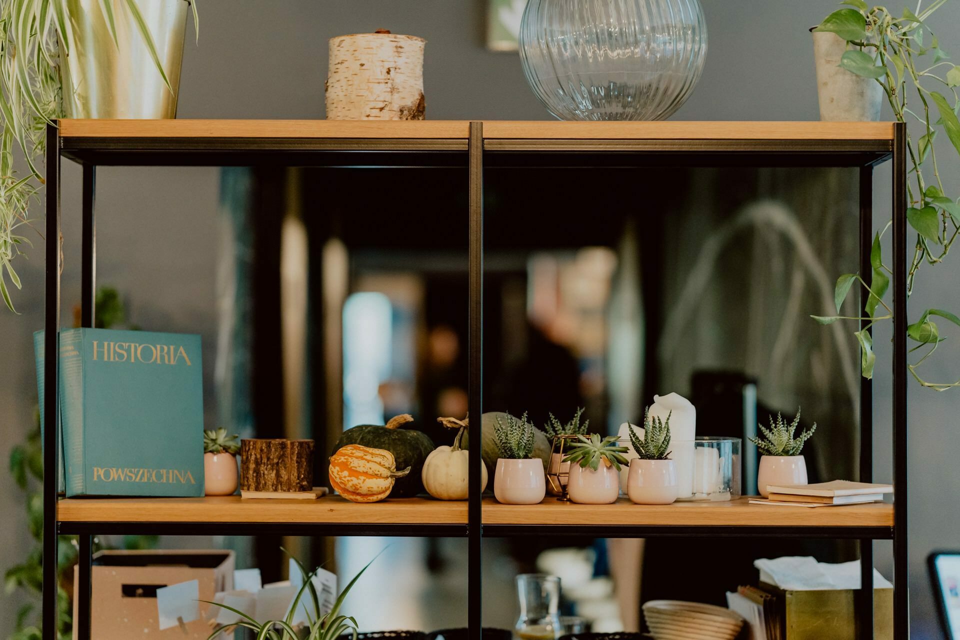 Various items are displayed on a wooden and black metal shelf, including small potted plants in pink pots, a pile of pumpkins, a bowl of clear glass, a wicker basket and a blue book titled. "Universal History." It seems to be the perfect backdrop for event photography or photo coverage of events.   