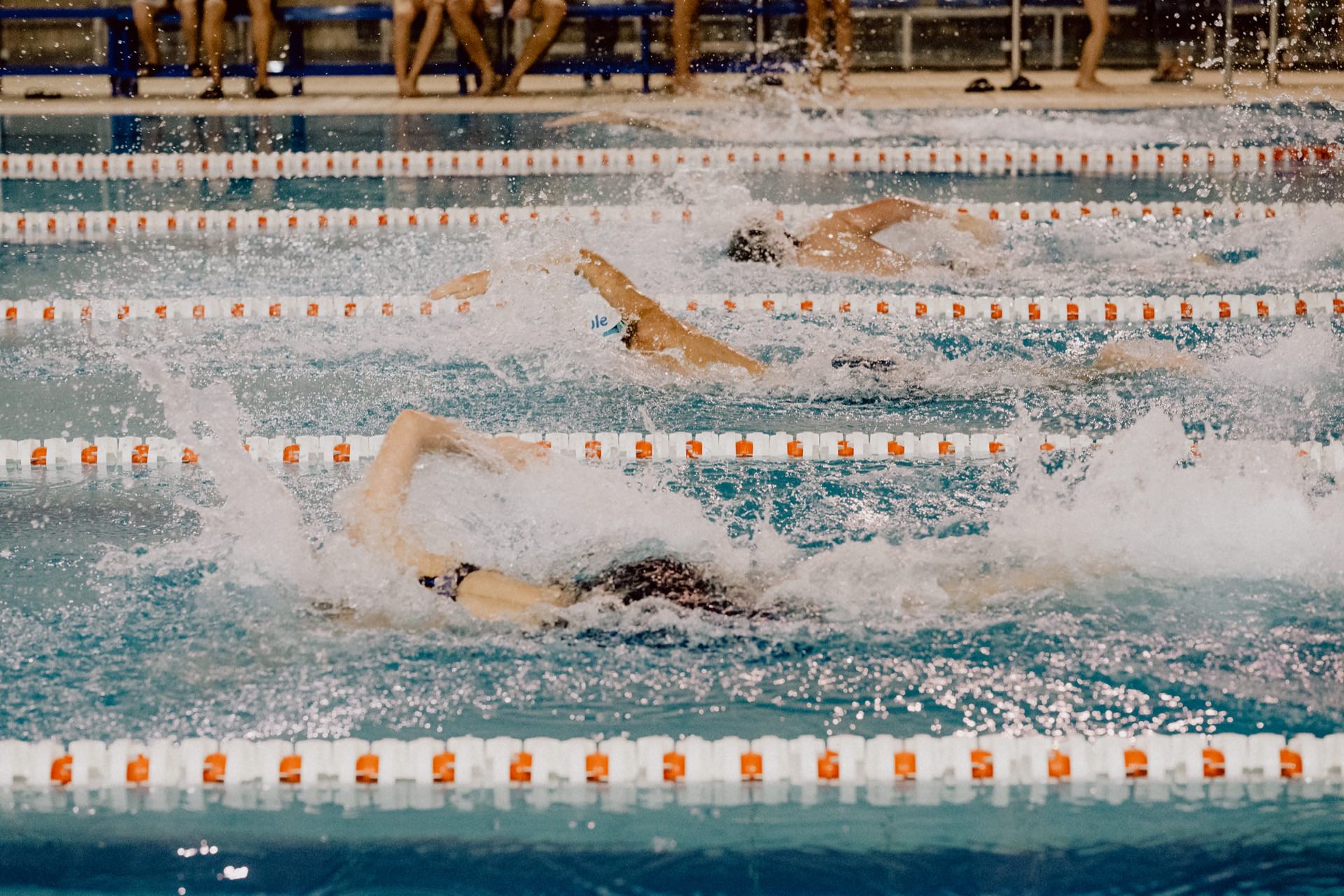 Swimmers compete on the lanes of an indoor pool, performing forward kraul and making splashes as they go. Spectators watch from the edge of the pool, immersed in the excitement. This captivating moment would make a great photo essay of the events in Warsaw.  