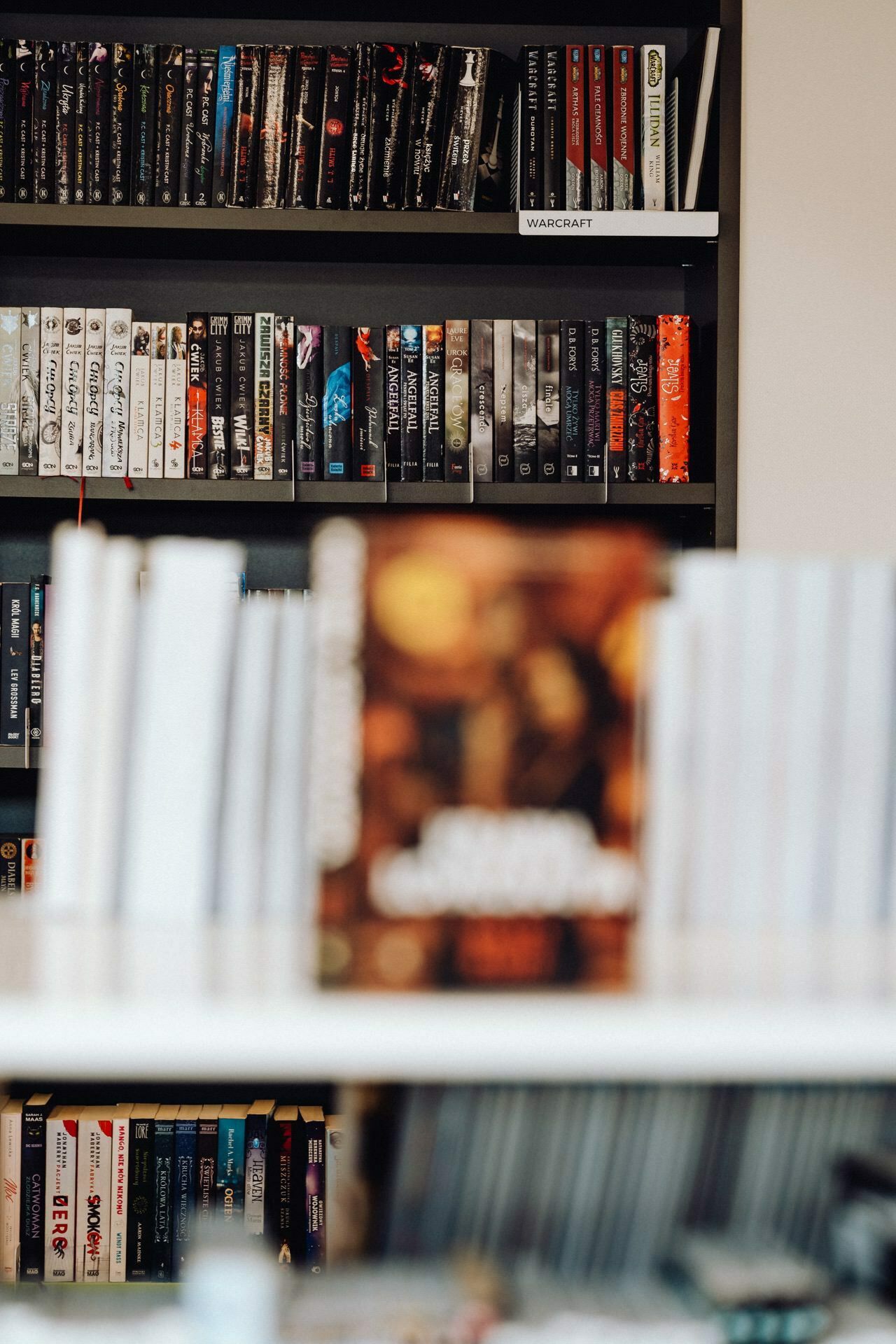 Blurred image of books on a white shelf with more books on a black shelf in the background. We focus on the background, creating the atmosphere of a photo event with a collection of books and DVDs, including titles from the Warcraft series. 