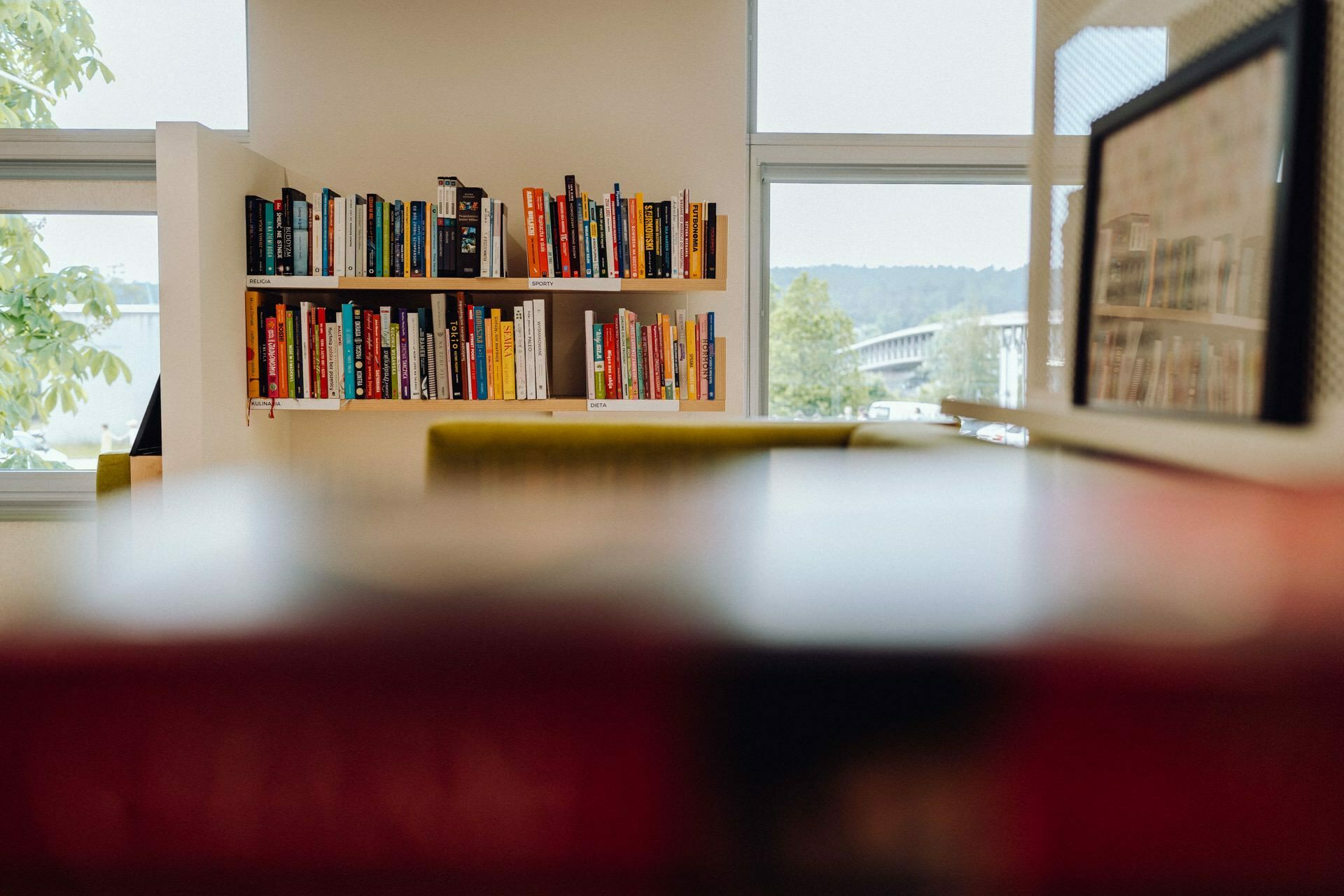 A bright, modern room with a large window and a bookshelf filled with various books on a bright wall. Outside the window you can see trees and a distant bridge. The foreground is blurred, focusing on a calm and organized reading area, perfect for any photography event that aims to capture tranquility.  