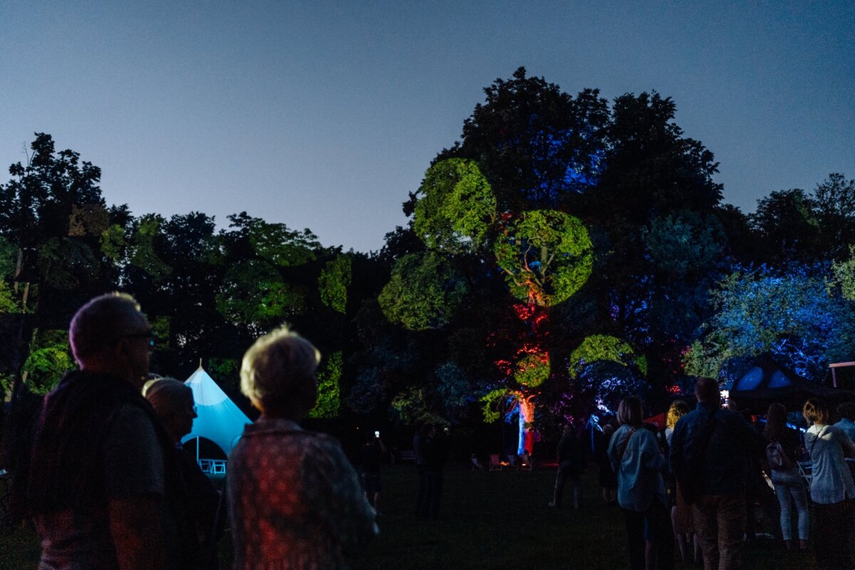 A nighttime outdoor event with several people standing face to face with illuminated trees. The trees are illuminated with various colors, including blue, red and green. Several tents and additional lighting can be seen in the background. The photo report of the event perfectly captures the magical atmosphere.   