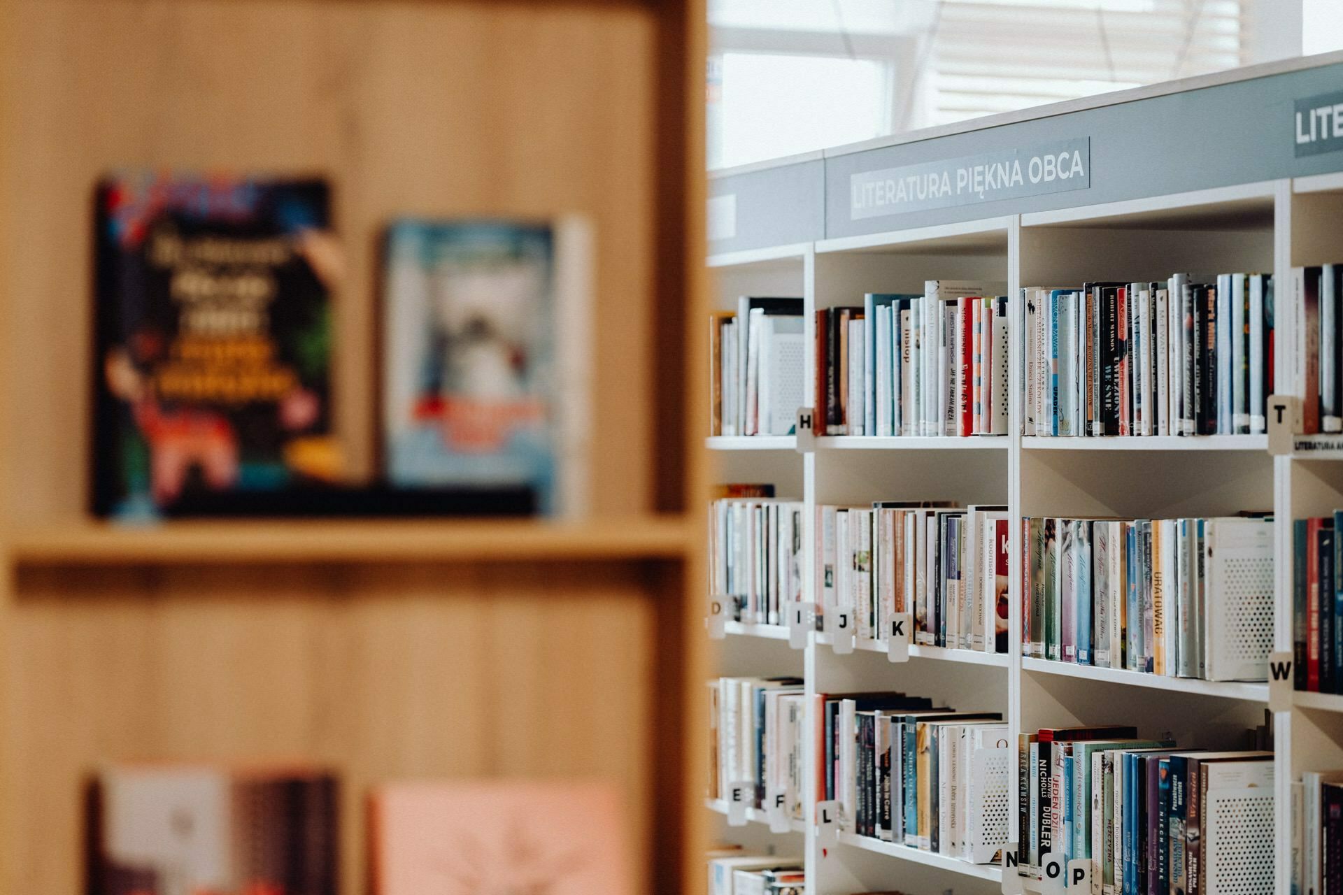 A bright, well-organized library area with shelves filled with neatly arranged books. On the left, a fuzzy wooden bookcase displays books, while on the right, a white bookcase labeled "BEAUTIFUL LITERATURE" contains books arranged alphabetically. Perfect for capturing in a photo essay of the event.  