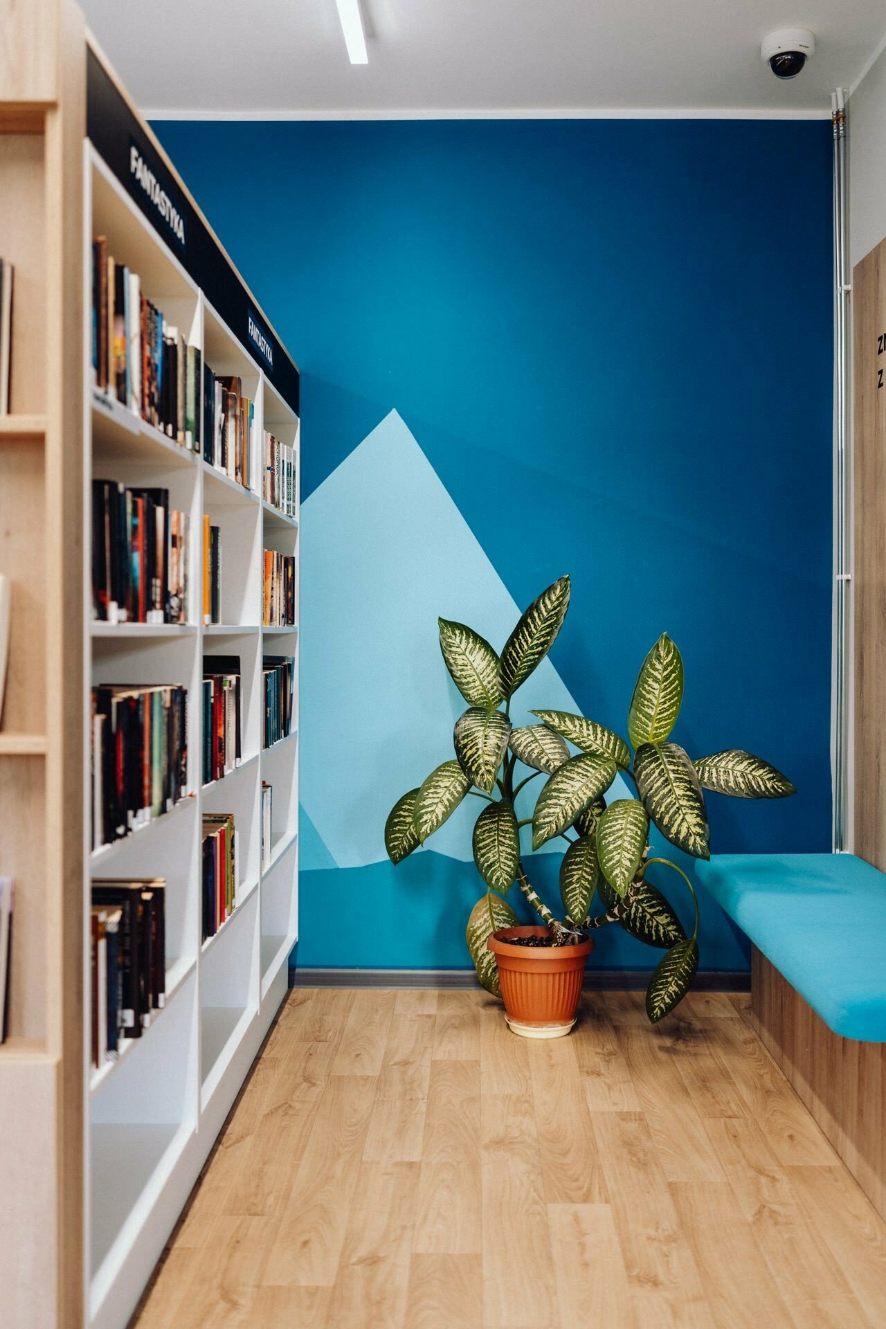 A cozy library corner with a white bookshelf filled with books on the left, a potted plant with large green leaves in the middle and a turquoise padded bench on the right. The blue wall in the background has a geometric pattern in lighter shades, perfect for capturing a photo of the events. 