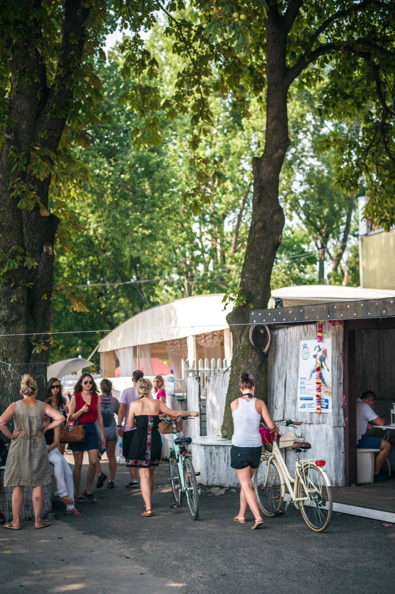 A group of people gather at a small kiosk surrounded by trees, reminiscent of a photo fair. Several bicycles are parked around them. The kiosk has a poster on the side and lights strung on the roof. Some people stand and talk, while others interact with the kiosk.   