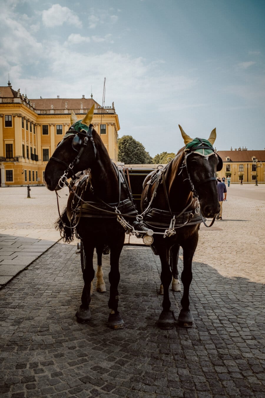 Two horses harnessed to a carriage stand on the cobblestone pavement in front of a yellow historic building on a bright, sunny day. Both horses have green ear covers on, and a man can be seen in the background near the building. 