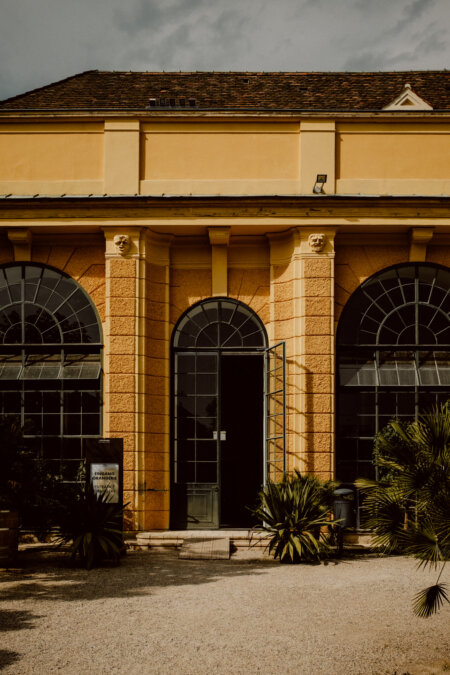 Yellow historic building with arched windows and a central arched entrance. The facade has tall pillars and brick details. Surrounding the entrance are green plants and palm trees. The sky above is overcast, casting a muted light on the scene.   