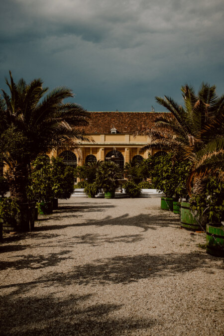 A gravel path surrounded by lush palm trees leads to a yellow building with large arched windows. The sky above is overcast and the surrounding plants are abundant and green, creating a peaceful, tropical atmosphere. 