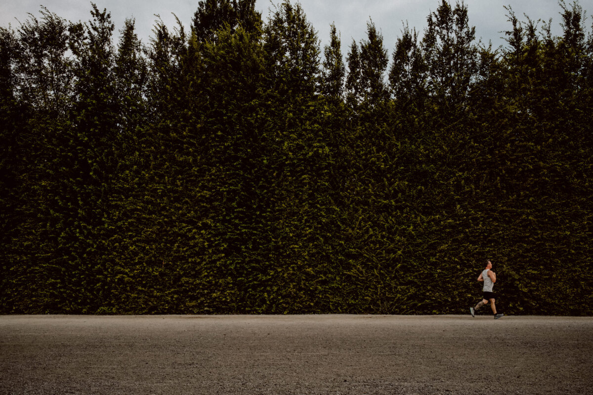 A lone runner in sportswear runs along a gravel path next to a thick, tall hedge under an overcast sky. The person is to the right of the painting, highlighting the vastness of the natural green wall. 