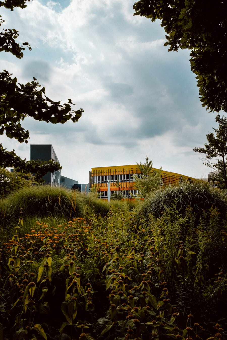 A modern building with yellow and orange accents, partially hidden behind lush green vegetation and flowering plants. An overcast sky towers above, adding contrast to the greenery and vibrant colors of the building. Trees frame the scene on either side.  