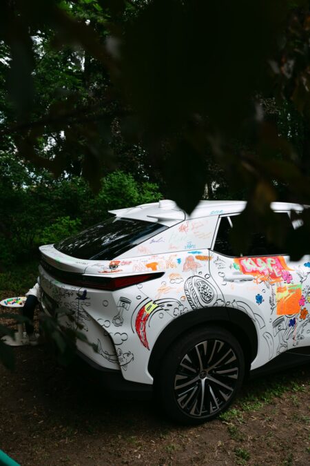 Pomalowany Lexus w ogrodzie pałacu na Foksal po akcji Pomaluj mnie