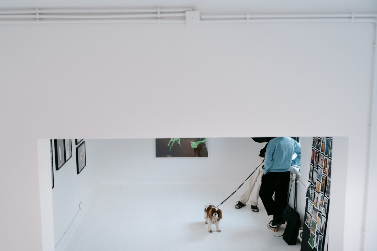 Pies gościa podczas otwarcia Instytutu Fotografii Fort